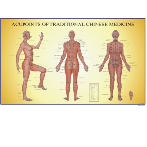 Acupoints Female Chart PDF download