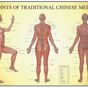 Acupoints Female Chart PDF download