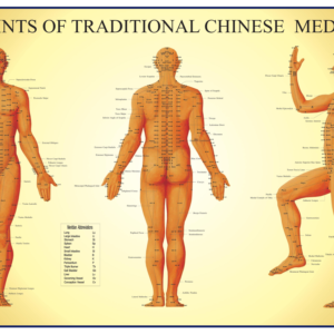 Acupoint Male Chart PDF download
