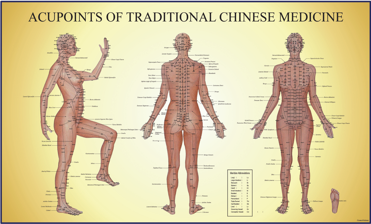 Female Acupoints Chart